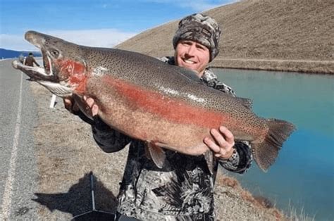 World Record Rainbow Trout: The BIGGEST ever caught