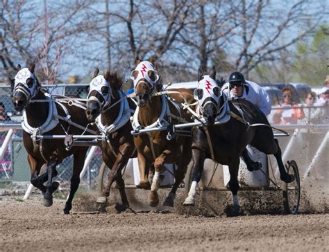 Chariot racing world championship coming to Ogden | News, Sports, Jobs - Standard-Examiner