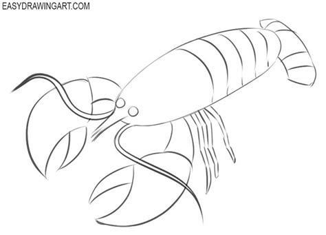 How to Draw a Crayfish | Drawings, Animal drawings, Drawing tutorial