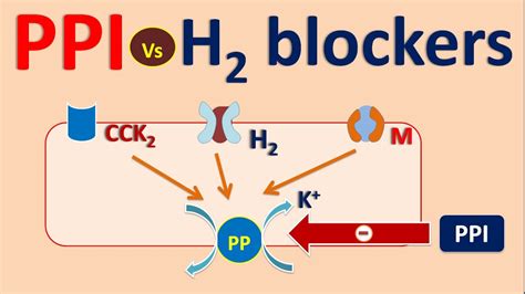 Proton pump inhibitors (PPI) vs H2 blockers - YouTube