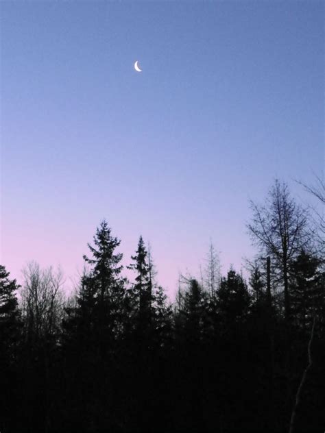 Moonset | Downeast Thunder Farm