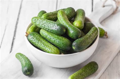 7 Small Cucumber Varieties - Plantglossary