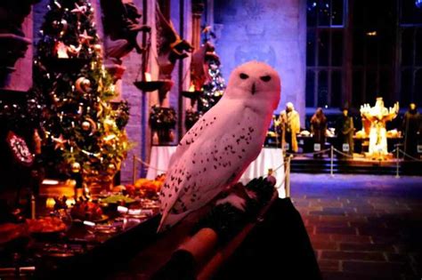 The Londoner » Hogwarts Christmas Feast