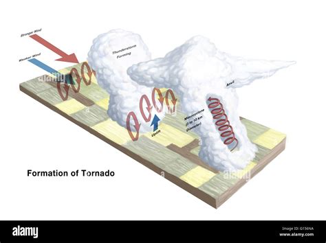 Tornado Formation Diagram