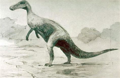 Thespesius (Trachodon)(Maintenant Edmontosaurus), par Charles R. Knight, 1901. Jurassic World ...