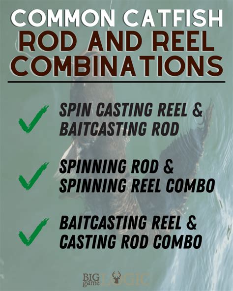 Best Catfish Rod And Reel Setups – Complete Guide