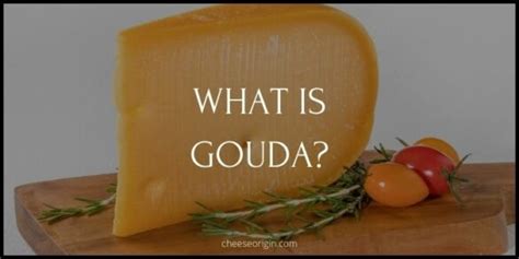 What is Gouda? The Golden Glory of Dutch Cheese