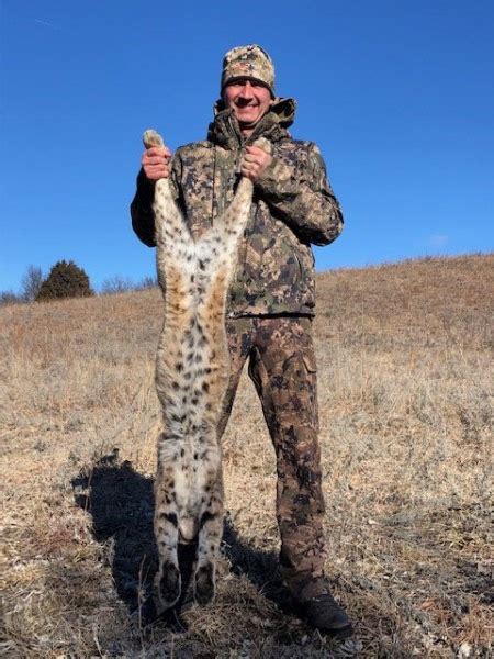 Bobcat Hunting In Kansas 2018