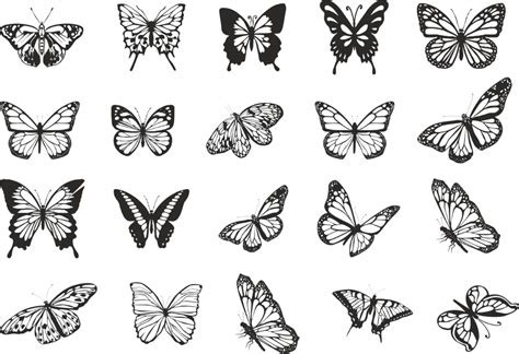 Butterfly Vector Art Collection Free Vector cdr Download - 3axis.co | Butterfly tattoo, Tattoos ...