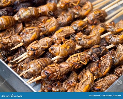 Roasted Fried Insects And Scorpions And Bugs As Snack Street Foo Stock ...