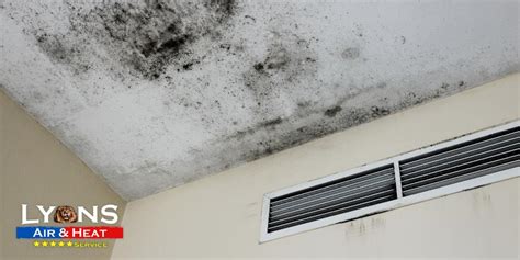 How Do You Know If Your AC Unit Has Mold? | Lyons Air & Heat