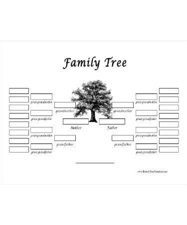 👪 Family Tree Template PDF - Free Download (PRINTABLE)