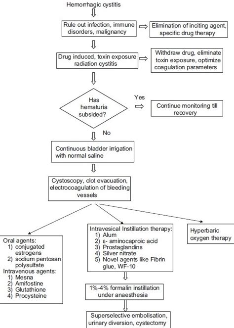 Hemorrhagic cystitis: A challenge to the urologist. - Abstract - Europe PMC