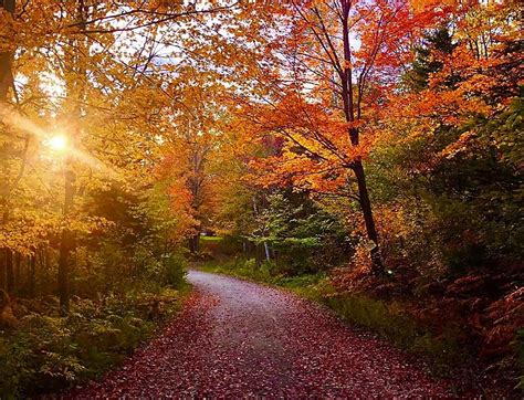 100 Absolutely Incredible Photos of Maine's Peak Foliage, 2021