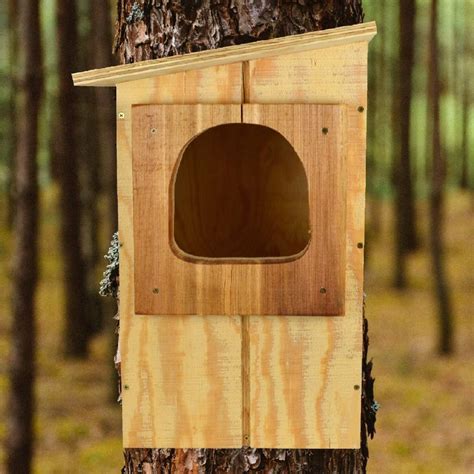 Barred Owl Nesting Box Birdhouse | Owl nesting, Owl nest box, Bird houses