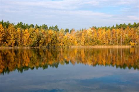 Trees at lake in fall stock photo. Image of reflection - 21817570