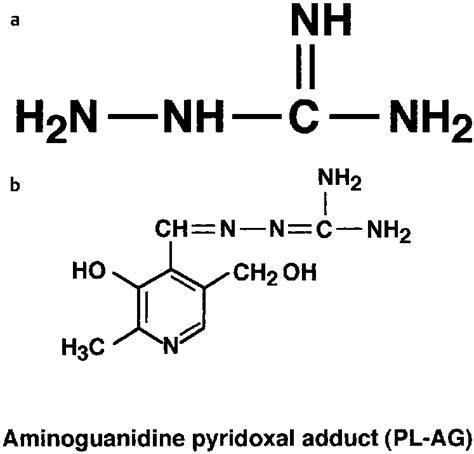 Structure of aminoguanidine (a) and aminoguanidine pyridoxal adduct (b ...