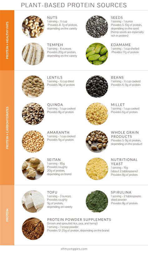 Plant Protein: A Nutrition Q&A About Plant Protein - OhMyVeggies!