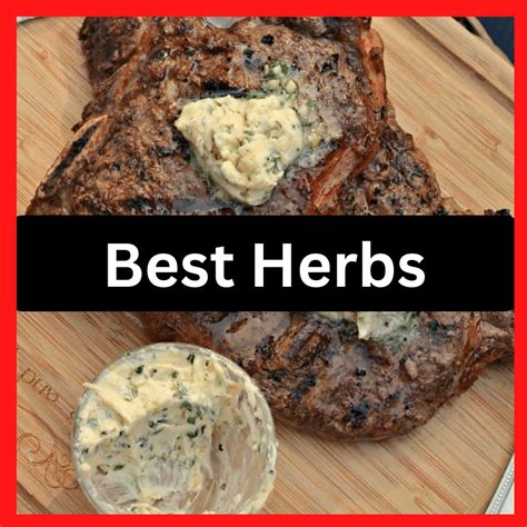 8 Best Herbs for Steak Butter – Happy Muncher