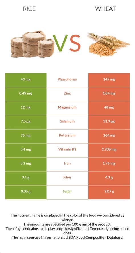 Rice vs. Wheat — In-Depth Nutrition Comparison