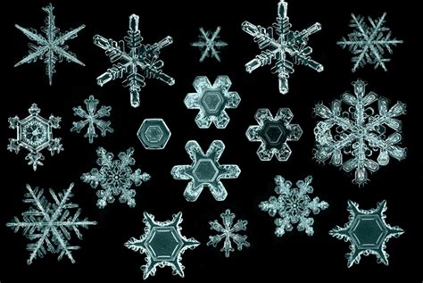 Snowflakes: Under The Microscope