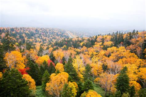 Col De Mikuni Photos Banque d'images et photos libres de droit - iStock