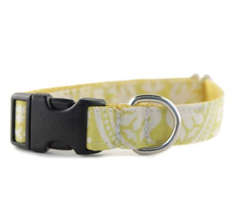 Yellow Dog Collar Yellow and White Dog Collar Solana Dog