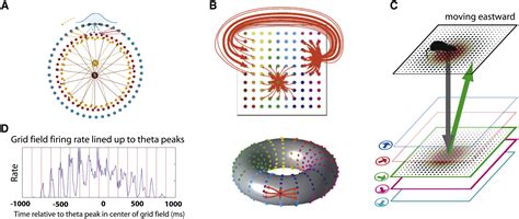 Computational Models of Grid Cells: Neuron