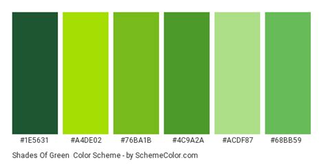 Green Color Swatches