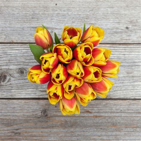 Red and Yellow Striped Tulip Bouquet - The Bouqs Co.