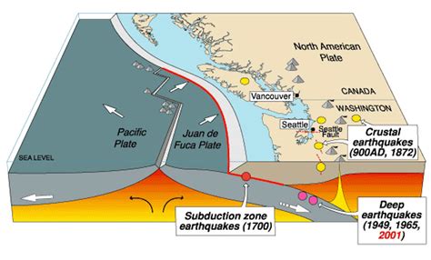 Parts of the Pacific Northwest's Cascadia fault are more seismically active than others ...