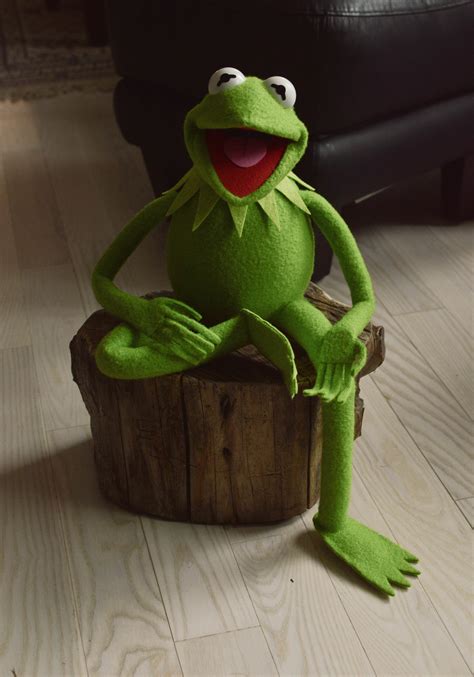 ecl's Kermit the Frog Puppet Replica (using my newest patterns) | RPF Costume and Prop Maker ...