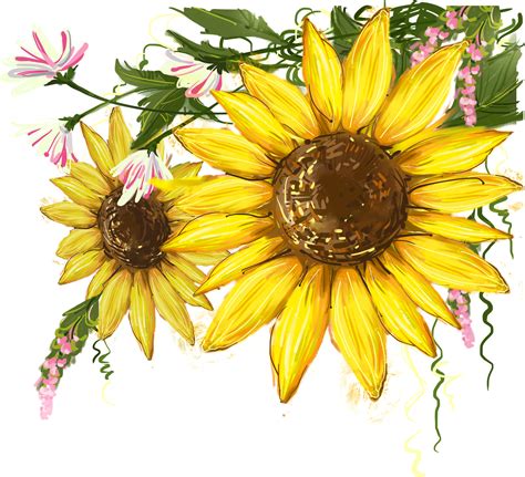 watercolor sunflower png 10 free Cliparts | Download images on Clipground 2024