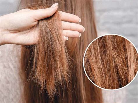 How To Repair Damaged Hair: The Secrets Everyone Misses | Lewigs