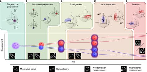 Creating quantum-entangled networks of atomic clocks and accelerometers