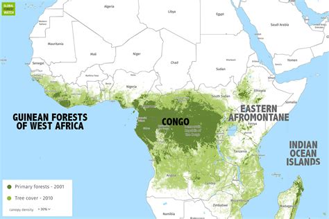 Rainforest In Africa Map Africa Map | Images and Photos finder