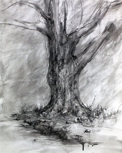 charcoal drawing techniques Winter's Shadow-Charcoal Tree Drawing-Fine ...