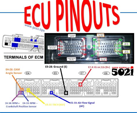 ECU PINOUT/CIRCUIT DIAGRAMS – HAPA UJANJA tu👨🏼‍🎓