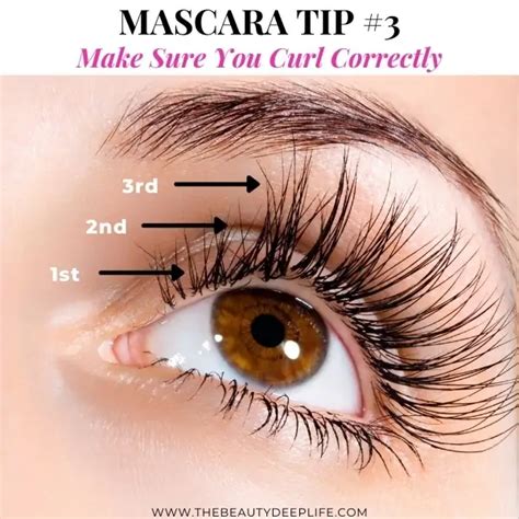 How To Apply Mascara Properly: 23 Insider Tips & Tricks