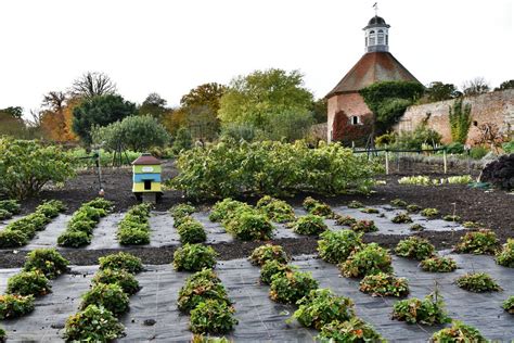 Felbrigg Hall, Walled Garden: The... © Michael Garlick :: Geograph ...