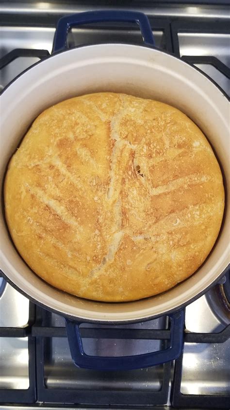 [Homemade] Dutch oven sourdough. | Food network recipes, Recipe images, Food