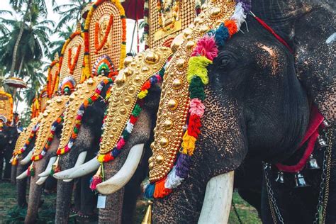 Thrissur Pooram: Date, History, Riturall, Significance and Celebration ...