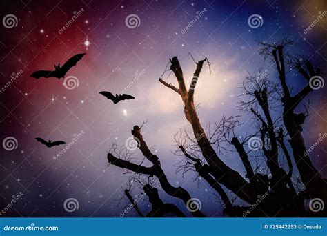 Halloween night sky stock image. Image of paradise, branch - 125442253