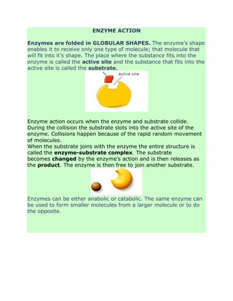 enzyme-substrate complex