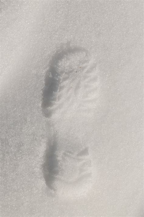 Imprint of the Shoe on the Dried and Cracked Mud. Stock Image - Image of outdoor, ground: 15733151