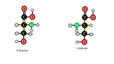 Biochemistry | D- and L- Enantiomers of amino acids - YouTube