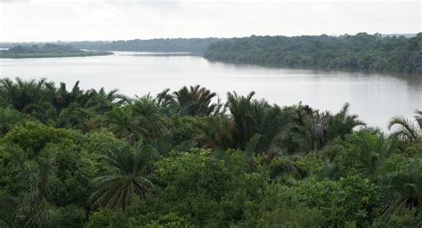 As the drum beats, so the dance goes: River Gambia National Park