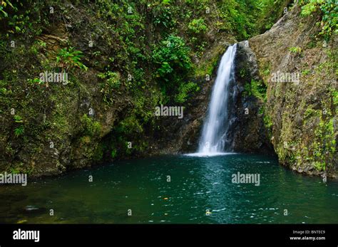 Seven Sisters Waterfall, Grenada Stock Photo - Alamy