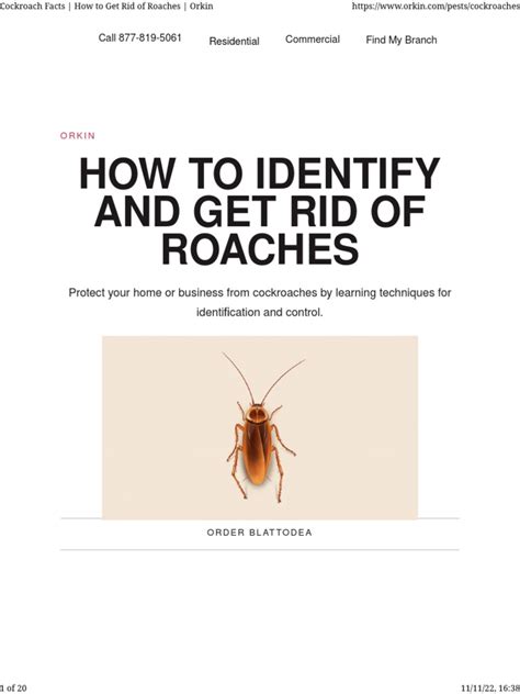 Cockroach Facts How To Get Rid of Roaches Orkin | PDF | Pest (Organism) | Insects And Humans