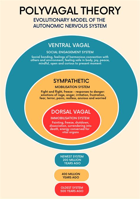 Polyvagal Theory and the Autonomic Nervous System — Aldebaran Healing